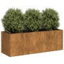 Jardinera oxidada 120x40x40 cm acero corten en Macetas y jardineras | Comprar online en Foru.es