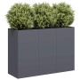 Jardinera de acero laminado en frío antracita 120x40x80 cm en Macetas y jardineras | Comprar online en Foru.es