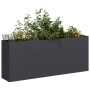 Jardinera de acero laminado en frío negro 200x40x80 cm en Macetas y jardineras | Comprar online en Foru.es