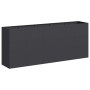 Jardinera de acero laminado en frío negro 200x40x80 cm en Macetas y jardineras | Comprar online en Foru.es