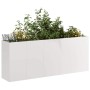 Jardinera 200x40x80 cm acero inoxidable en Macetas y jardineras | Comprar online en Foru.es