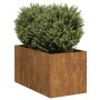 Jardinera oxidada 40x80x40 cm acero corten en Macetas y jardineras | Comprar online en Foru.es