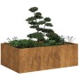Jardinera oxidada 120x80x40 cm acero corten en Macetas y jardineras | Comprar online en Foru.es