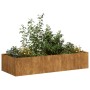 Jardinera oxidada 200x80x40 cm acero corten en Macetas y jardineras | Comprar online en Foru.es