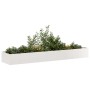 Jardinera 360x80x40 cm acero inoxidable en Macetas y jardineras | Comprar online en Foru.es