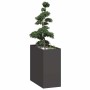 Jardinera acero negro 40x80x80 cm en Macetas y jardineras | Comprar online en Foru.es