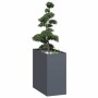 Jardinera acero gris antracita 40x80x80 cm en Macetas y jardineras | Comprar online en Foru.es