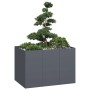 Jardinera acero gris antracita 120x80x80 cm en Macetas y jardineras | Comprar online en Foru.es