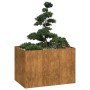Jardinera oxidada 120x80x80 cm acero corten en Macetas y jardineras | Comprar online en Foru.es