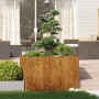 Jardinera oxidada 120x80x80 cm acero corten en Macetas y jardineras | Comprar online en Foru.es