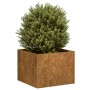 Jardinera oxidada acero corten 40x40x30 cm en Macetas y jardineras | Comprar online en Foru.es