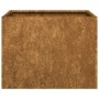Jardinera oxidada acero corten 40x40x30 cm en Macetas y jardineras | Comprar online en Foru.es