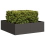 Jardinera acero negro 100x100x30 cm en Macetas y jardineras | Comprar online en Foru.es