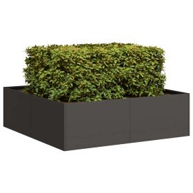 Jardinera acero negro 100x100x30 cm en Macetas y jardineras | Comprar online en Foru.es