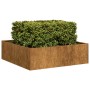 Jardinera oxidada acero corten 100x100x30 cm en Macetas y jardineras | Comprar online en Foru.es