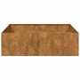 Jardinera oxidada acero corten 100x100x30 cm en Macetas y jardineras | Comprar online en Foru.es