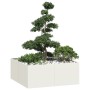 Jardinera acero blanco 100x100x40 cm en Macetas y jardineras | Comprar online en Foru.es
