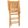 Sillas de jardín plegables 2 uds madera maciza teca 55x62x90 cm de vidaXL, Sillas de jardín - Ref: Foro24-362762, Precio: 146...