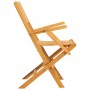 Sillas de jardín plegables 2 uds madera maciza teca 55x61x90 cm de vidaXL, Sillas de jardín - Ref: Foro24-362760, Precio: 155...
