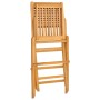 Sillas de jardín plegables 2 uds madera maciza teca 47x62x90cm de vidaXL, Sillas de jardín - Ref: Foro24-362761, Precio: 156,...
