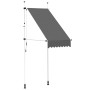 Toldo retráctil de operación manual gris antracita 100 cm en Toldos | Comprar online en Foru.es