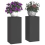 Soporte de plantas 2 pcs Negro 24 x 24 x 55 cm Acero en Soportes para macetas | Comprar online en Foru.es