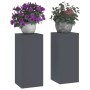 Soporte de plantas 2 pcs Antracita 24 x 24 x 55 cm Acero en Soportes para macetas | Comprar online en Foru.es