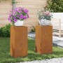 Soporte de plantas 2 pcs Oxidado 24 x 24 x 55 cm en Soportes para macetas | Comprar online en Foru.es