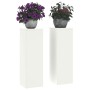 Soporte de plantas 2 pcs 24 x 24 x 75 cm Acero en Soportes para macetas | Comprar online en Foru.es