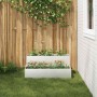 Macetero de Jardín Plateado 100 x 60 x 45 cm Acero inoxidable en Macetas y jardineras | Comprar online en Foru.es