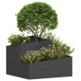 Macetero de Jardín Negro 60 x 60 x 50 cm Acero laminado en frío en Macetas y jardineras | Comprar online en Foru.es