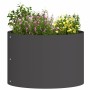 Anillo para maceta Negro 30 x 30 x 20 cm Acero laminado en frío en Macetas y jardineras | Comprar online en Foru.es