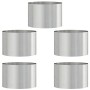 Anillo para maceta 5 pcs Plateado 30 x 30 x 20 cm en Macetas y jardineras | Comprar online en Foru.es