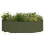 Maceta para Jardín 5 pcs Verde Oliva 80 x 80 x 20 cm en Macetas y jardineras | Comprar online en Foru.es