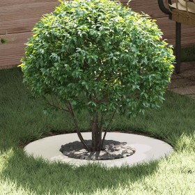 adecuado para Anillo de Árbol Plano Ø30 / 60 cm Acero en Macetas y jardineras | Comprar online en Foru.es