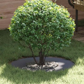 adecuado para Anillo de Árbol Plano Antracita Ø30 / 60 cm Acero en Macetas y jardineras | Comprar online en Foru.es