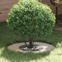 adecuado para Anillos de Árbol Plano 5 pcs Plateado Ø30 / 60 cm en Macetas y jardineras | Comprar online en Foru.es