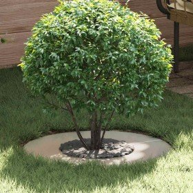 adecuado para Anillos de Árbol Plano 5 pcs Plateado Ø30 / 60 cm en Macetas y jardineras | Comprar online en Foru.es