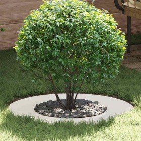adecuado para Anillo de Árbol Plano Ø40 / 70 cm Acero en Macetas y jardineras | Comprar online en Foru.es