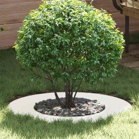 adecuado para Anillos de Árbol Plano 5 pcs Ø40 / 70 cm Acero en Macetas y jardineras | Comprar online en Foru.es