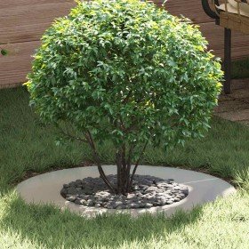 adecuado para Anillo de Árbol Plano Plateado Ø40 / 70 cm en Macetas y jardineras | Comprar online en Foru.es