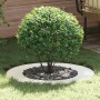 adecuado para Anillo de Árbol Plano Ø50 / 80 cm Acero en Macetas y jardineras | Comprar online en Foru.es