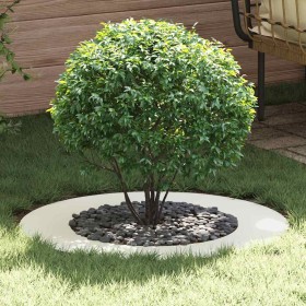 adecuado para Anillo de Árbol Plano Ø50 / 80 cm Acero en Macetas y jardineras | Comprar online en Foru.es