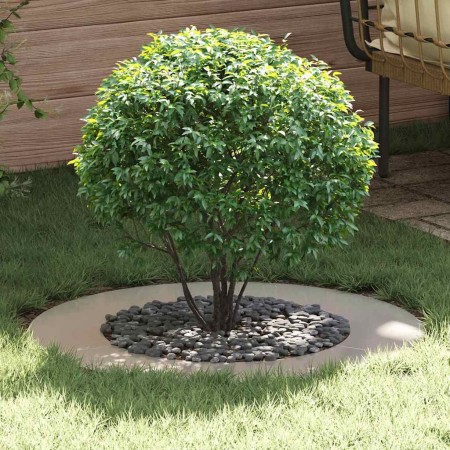 adecuado para Anillo de Árbol Plano Plateado Ø50 / 80 cm en Macetas y jardineras | Comprar online en Foru.es
