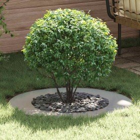 adecuado para Anillos de Árbol Plano 5 pcs Plateado Ø50 / 80 cm en Macetas y jardineras | Comprar online en Foru.es