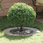 adecuado para Anillos de Árbol Plano 5 pcs Plateado Ø50 / 80 cm en Macetas y jardineras | Comprar online en Foru.es