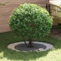 adecuado para Anillo de Árbol Plano Plateado Ø60 / 90 cm en Macetas y jardineras | Comprar online en Foru.es