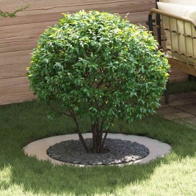 adecuado para Anillo de Árbol Plano Plateado Ø60 / 90 cm en Macetas y jardineras | Comprar online en Foru.es