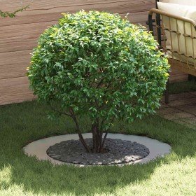 adecuado para Anillo de Árbol Plano Plateado Ø60 / 90 cm en Macetas y jardineras | Comprar online en Foru.es