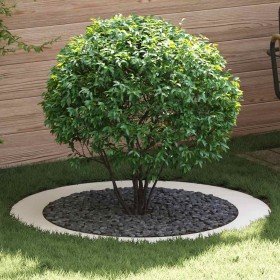 adecuado para Anillo de Árbol Plano Ø90 / 120 cm Acero en Macetas y jardineras | Comprar online en Foru.es